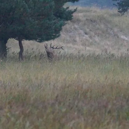 Lejlighed Lindenstr_32 Whg 4 *